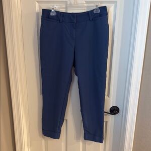 New York & Company Blue Crop Pants
